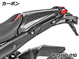 カーボン タンデムシート フェアリング R1300RS カスタム パーツ