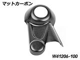 カーボンファイナルドライブカバー R12 G/S カスタム パーツ